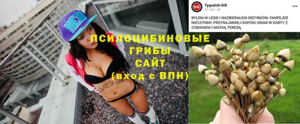 ALPHA-PVP Домодедово