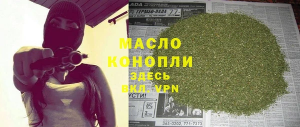 spice Богородицк