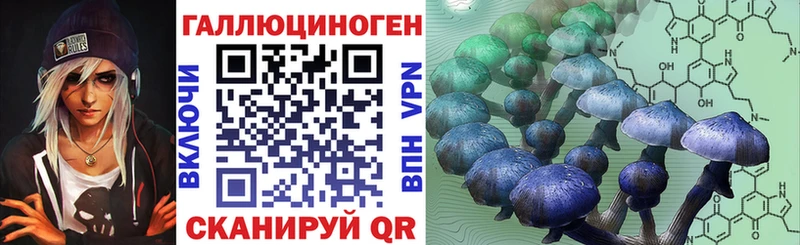 Псилоцибиновые грибы Cubensis Еманжелинск