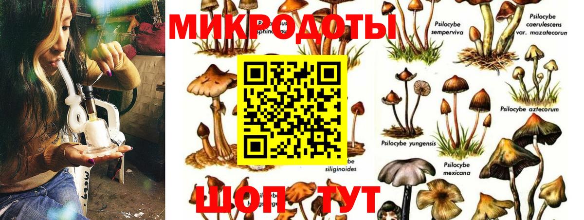 Псилоцибиновые грибы GOLDEN TEACHER  Вход с VPN  Еманжелинск  Галлюциногенные грибы MAGIC MUSHROOMS 